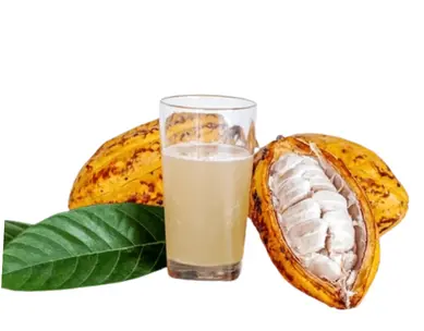 Fresh Cacao Juice