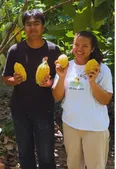 J&O Cacao farmers holding fresh cacao pods among the trees