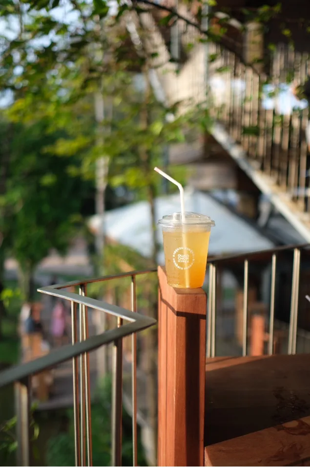 Fresh coconut sugar and an iced drink hanging on a coconut palm trunk