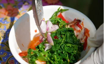 Fresh herbs and chili being prepared