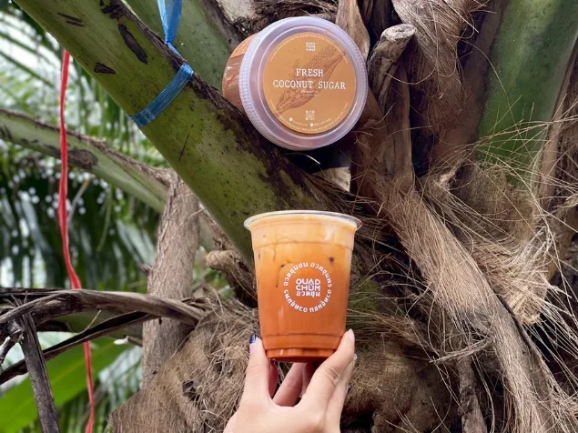 Fresh coconut sugar and an iced drink hanging from a palm tree