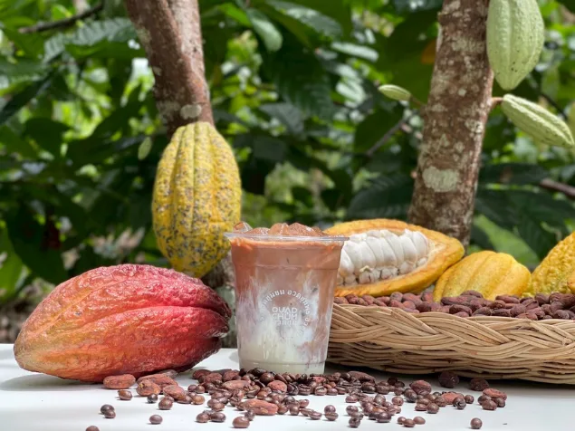 Iced cacao latte served with fresh cacao pods and beans